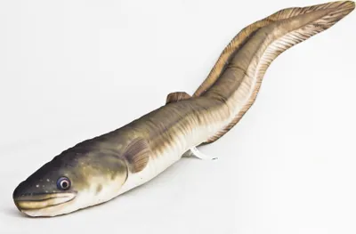 Produktbild von Gaby Kissen Aal 115cm Kuscheltier Fisch Stofftier Plüschtier Plüschfisch Geschenkidee