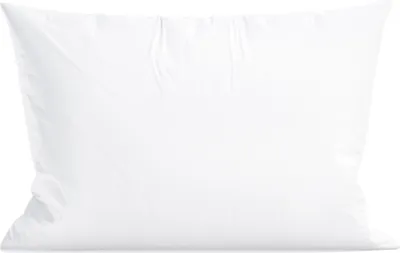A white pillow is shown against a white background.