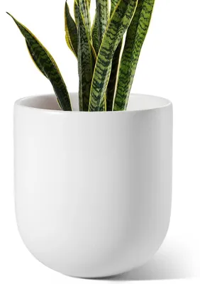 Produktbild von Übertöpfe Keramik Groß 25 cm Weiß mit Abflussloch