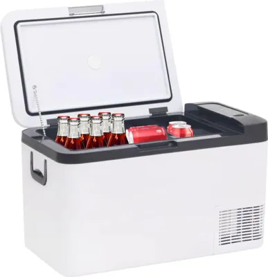 Produktbild von vidaXL Kühlbox mit Griff und Adapter Schwarz und Weiß 25 L PP & PE