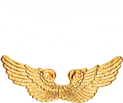 A pair of golden wings on a white background.