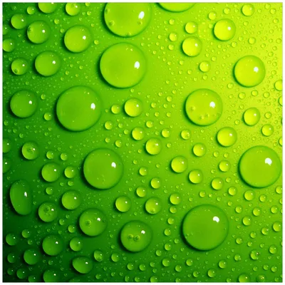 Produktbild von Wallario Premium Glasbild, freischwebende Optik, kräftige Farben, Größe 50 x 50 cm Motiv Wassertropfen auf Grün