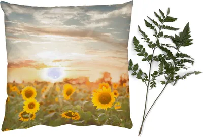 Produktbild von MuchoWow® Zierkissen Sofakissen Wohnzimmer Dekokissen 50x50 cm Sonnenblume - Sonne - Blumen - Komfort - Sofakissen