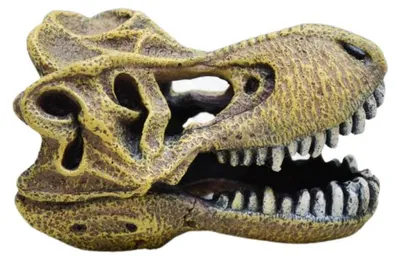 Produktbild von Aquarium Dekoration Tyrannosaurus Schädel Miniatur Dekofigur Versteck Amtra