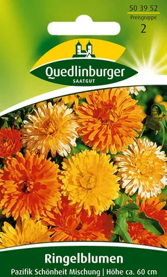Produktbild von Quedlinburger Ringelblumen Pazifik Schönheit Mischung - Blumensamen