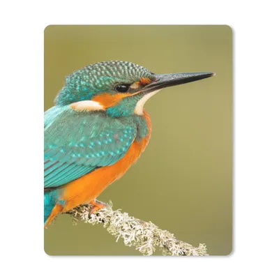 Produktbild von MuchoWow® Mauspad Mousepad Eisvogel - Tiere - Vogel 30x40 cm - Mousepads - Maus Mat - Pad - Mausunterlage - Mausmatten