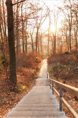 Produktbild von Wallario selbstklebendes Poster - Weg in den Sonnenuntergang, Größe: 61 x 91,50 cm