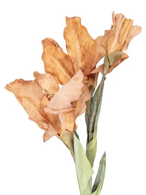 Produktbild von Clayre & Eef Kunstblume 85 cm Braun Kunststoff