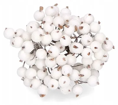 Image de Emized Branches de Sorrbier Blanc Givré pour Décoration Noël (120 pcs)