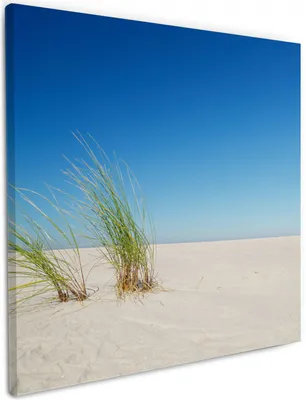 Produktbild von Wallario Premium Leinwandbild Sandstrand unter blauem Himmel in Größe 50 x 50 cm