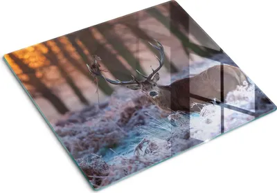 Produktbild von Tulup Glas Herdabdeckplatte Glaskeramikkochfeld-Abdeckung Spritzschutz Glasabdeckplatte Kochplattenabdeckung und Schneidebrett - Einteilig - 60x52 cm Hirsch Sonnenaufgang