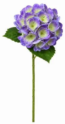 Produktbild von G.blümt Künstliche Hortensien 64 cm lang, Kunstblumen Real Touch wie echt, Lila 1 Stück