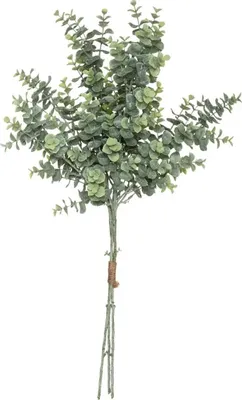 Produktbild von Eukalyptus-Bouquet H64