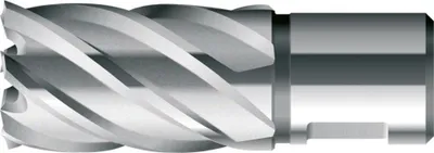 Produktbild von BDS Kernbohrer HSS Standard 13,0mm Schnitt.30mm Weldon-Aufnahme (KBK-013)