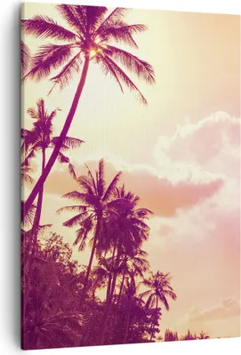 Produktbild von Bild auf Leinwand - Leinwandbild - Einteilig - palme dschungel - 50x70cm - Wand Bild - Wanddeko - Wandbilder - Leinwanddruck - Kunstdruck - Wanddekoration - Leinwand bilder - Wandbild - PA50x70-3994