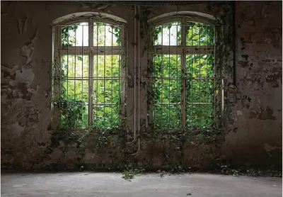 Produktbild von Vlies Fototapete Fenster Fensterblick Vintage Betonoptik Blätter Pflanzen (416x254 cm - inkl. Kleister) Wohnzimmer Schlafzimmer Modern Vliestapete Tapete