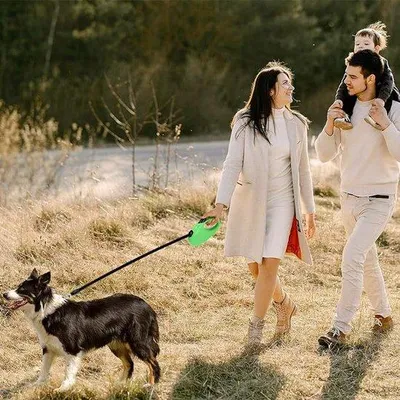 Image de Laisse extensible de 5 m pour les promenades