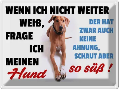 Produktbild von vianmo Blechschild 30x40 cm wenn ich nicht weiter weiß Hund Spruch Zitat