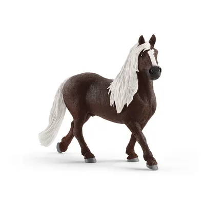 Produktbild von Schleich Farm World        13897 Schwarzwälder Hengst