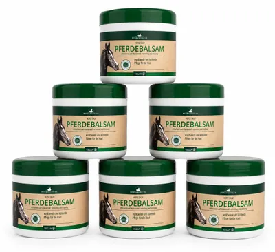 Produktbild von Herbamedicus Pferdebalsam 500 ml – 6er Pack | Kühlendes Gel
