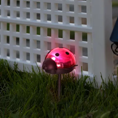 Immagine prodotto di Lampada da giardino a LED alimentata a energia solare – Lampada decorativa a forma di coccinella per esterni – 1 LED bianco freddo – 75 x 60 x 156 mm – con picchetto – accensione/spegnimento automatico – illuminazione d'atmosfera per il giardino [11240C]