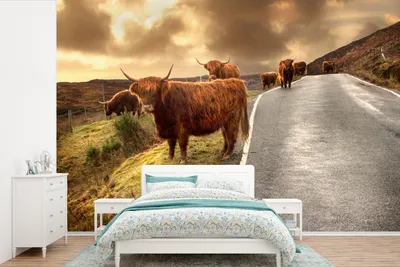 Produktbild von MuchoWow® Fototapete für Wohnzimmer oder Schlafzimmer Wandtapete Vinyl Motivtapete Schottische Highlanders - Himmel - Straße - 330x220 cm - Fototapeten