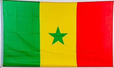 Produktbild von Flagge 90 x 150 : Senegal