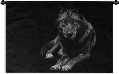 Produktbild von MuchoWow® Wandteppich Wandbehang Tiere - Wolf - Schwarz - Weiß - Porträt 150x100 cm Tapisserie Dekoration Wandtuch - Waschbar - Tapisserien - Wand-Decke
