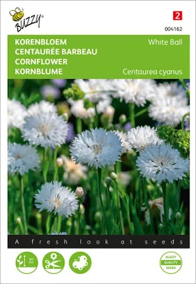 Zdjęcie produktu dla Kornblume White – białe kwiaty | Nasiona kornblumu firmy Buzzy Seeds