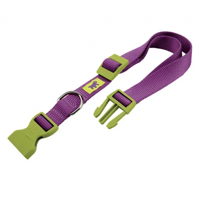 Produktbild von HundeHalsband Club 32 x 1 cm aus Nylon violett/grün