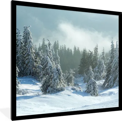 Produktbild von MuchoWow® Gerahmtes Poster Wald - Schnee - Winter 40x40 cm - Poster mit Schwarzem Bilderrahmen Wandposter Rahmen Foto Bilder - Mit Rahmen - Wanddekoration Schlafzimmer