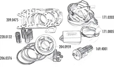 Produktbild von Kolbenring Satz Polini 300ccm 75mm für Piaggio 300ie 4T LC Quasar