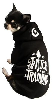 Produktbild von Killstar Hunde Kapuzenjacke - Witch In Training Hoodie M