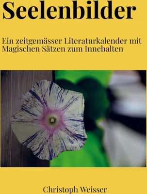 Produktbild von Seelenbilder