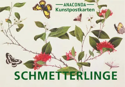 Produktbild von Postkarten-Set Schmetterlinge