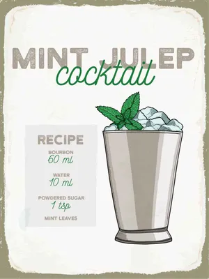 Produktbild von vianmo Holzschild 40x30 cm Mint Julep Cocktail Recipe Essen Trinken