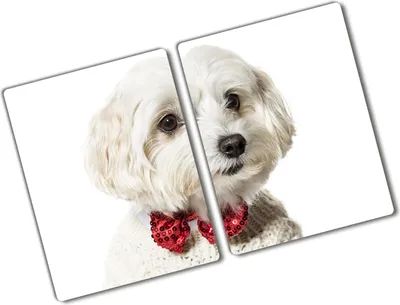 Produktbild von Tulup Glas Herdabdeckplatte - 2x40x52 cm - Glaskeramikkochfeld-Abdeckung Spritzschutz Glasabdeckplatte Kochplattenabdeckung und Schneidebrett - Zweiteilig - Tiere - Malteser Hund - Rot