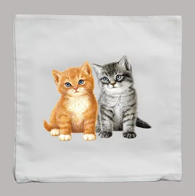 Produktbild von Kissenbezug 0927 Katzen 50 x 50 cm | mit Füllung