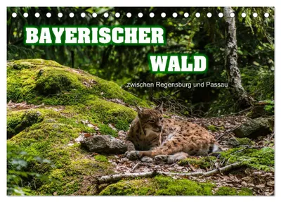 Produktbild von Bayerischer Wald (Tischkalender 2027 DIN A5 quer), CALVENDO Monatskalender