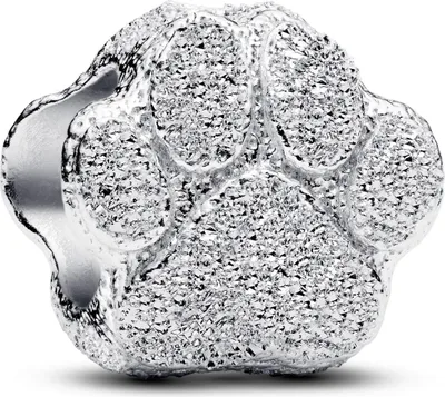 Image de PANDORA MOMENTS Charm Mini patte texture 794043C00