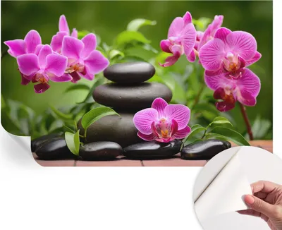 Produktbild von Selbstklebende Wandtapete - Dekorative Tapete für Wohnzimmer - Klebefolie für Wandbilder - Tapetenfolie für Wanddekoration - 416x254 - Orchideensteine