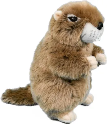 Produktbild von Kuscheltier Murmeltier stehend braun 23 cm Plüschtier