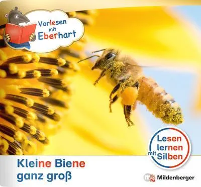 Obrázek produktu pro Vorlesen mit Eberhart - Kleine Biene ganz groß - Nachbezug Einzelheft