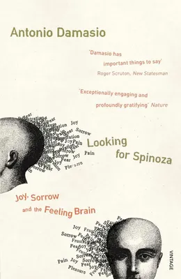 Image de Looking For Spinoza