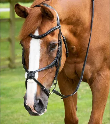 Zdjęcie produktu dla Premier Equine Glorioso Grackle Snaffle Black Cob Black Cob