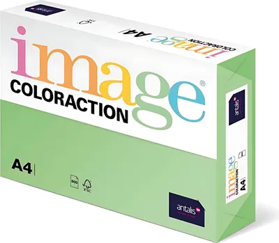 Produktbild von Kopa A4 GrünMix Coloraction, 250Bl, 120g