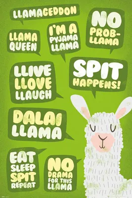 Produktbild von Tiere - Poster - Llama - Quotes