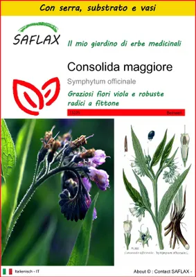 Immagine prodotto di SAFLAX Insieme di coltivazione - Consolida maggiore - 15 semi - Symphytum