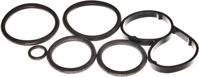 Image de Kit De Joints Pour Refroidisseur D'huile Vw Touareg 4.2 03-