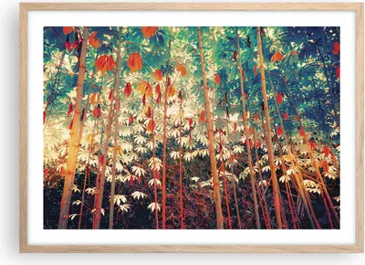 Produktbild von Gerahmtes Poster - Rahmen in heller Eiche - Pflanzen tropisch orange - 70x50 cm - Wand Bild - Wanddeko - Wandbilder - Kunstposter - Wandposter - Bilderrahmen - Bilder - Kunstdruck - P2NAA70x50-4393